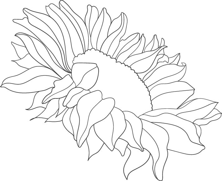 Mi proyecto del curso: Ilustración de fantasía con estilo propio 3