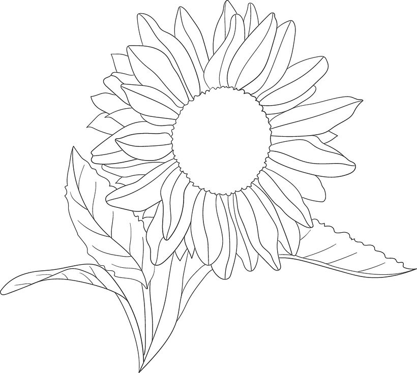 Mi proyecto del curso: Ilustración de fantasía con estilo propio 4