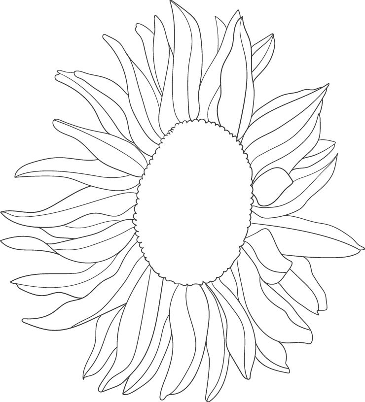 Mi proyecto del curso: Ilustración de fantasía con estilo propio 5