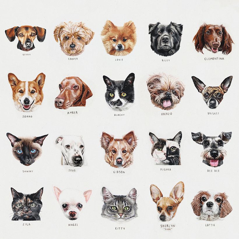 Top 5 proyectos de bordado de la comunidad  1