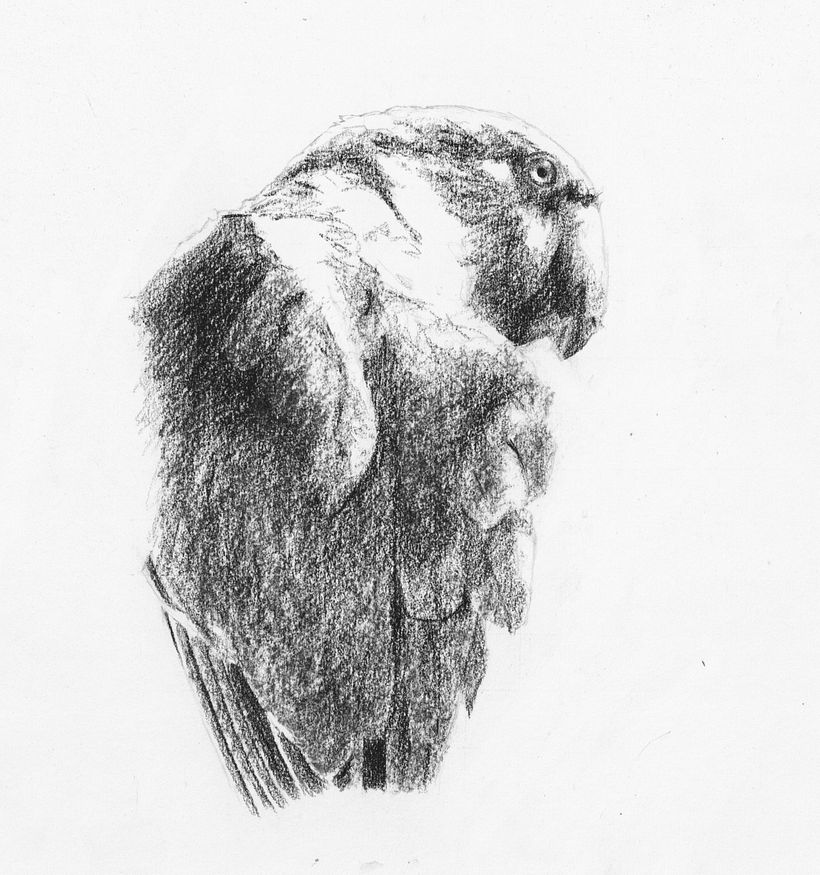 Greater depth of tone by pressing harder on the pencil in key areas 