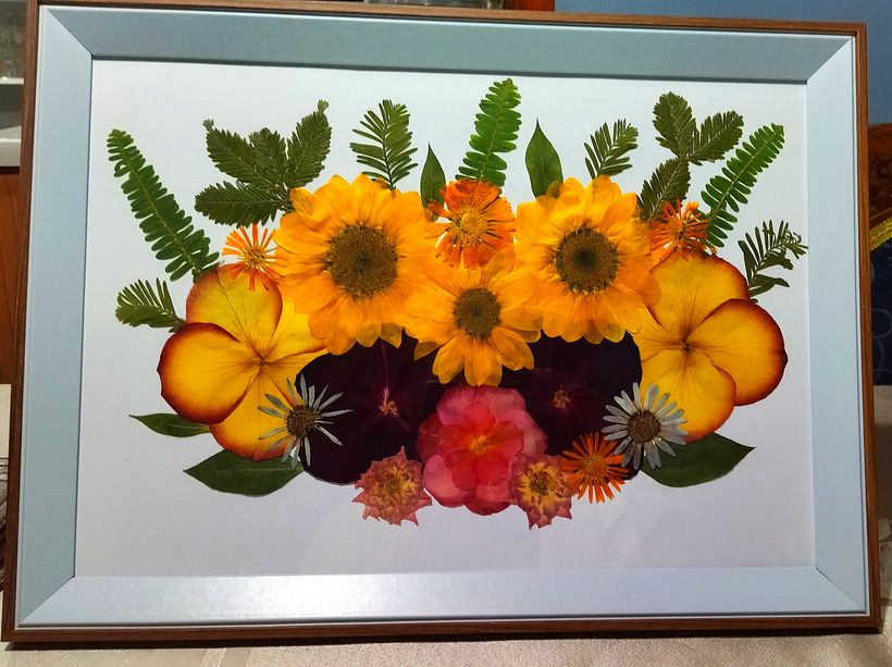 Composiciones mixtas 3