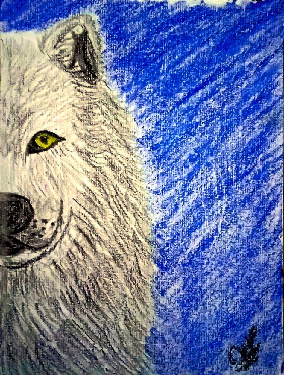 Habitante del bosque