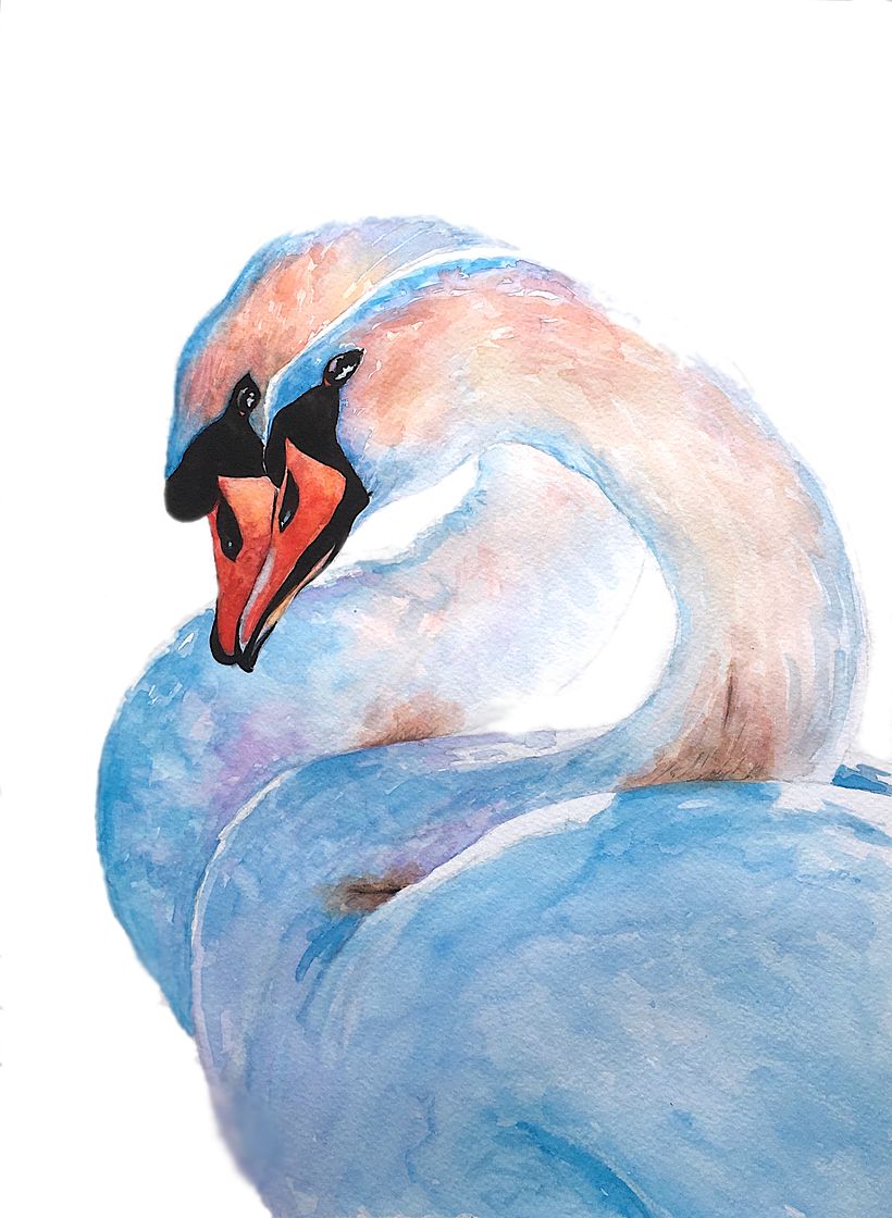 My project for course: Artistic Watercolor Techniques for Illustrating Birds 10