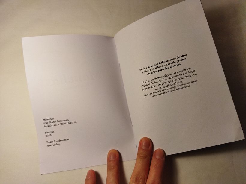 Mi proyecto del curso: Laboratorio de fanzines y autopublicación 4