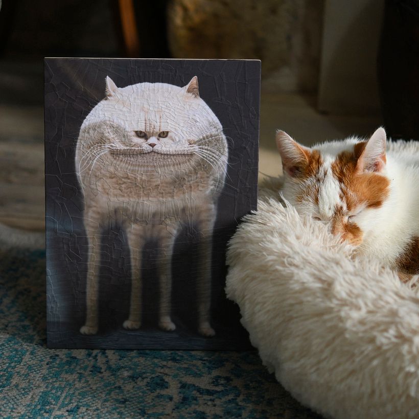 Top Community Cat Projects 1
