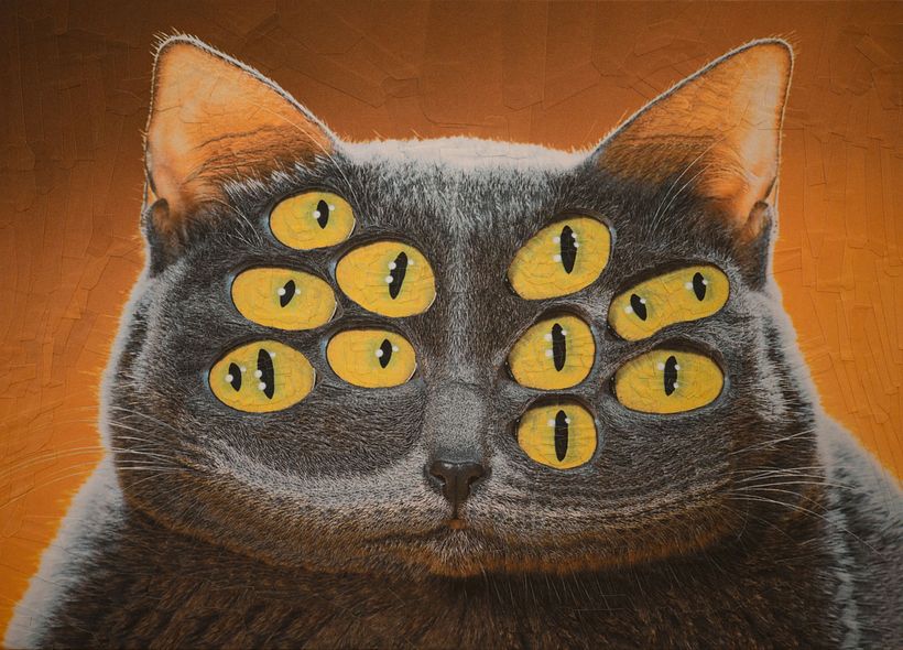 Top Community Cat Projects 3