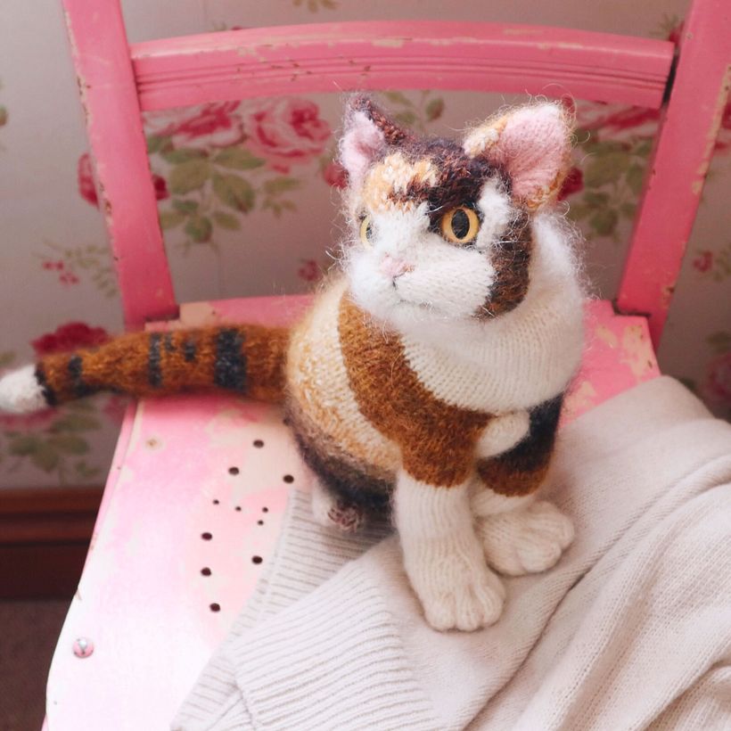 Top Community Cat Projects 6