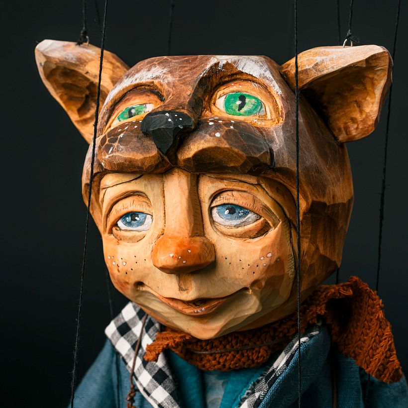 Top Community Cat Projects 9