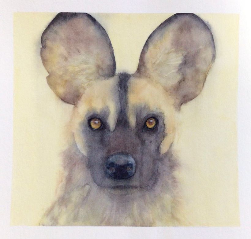 Mi proyecto para el curso: Retratos expresivos de animales en acuarela 2