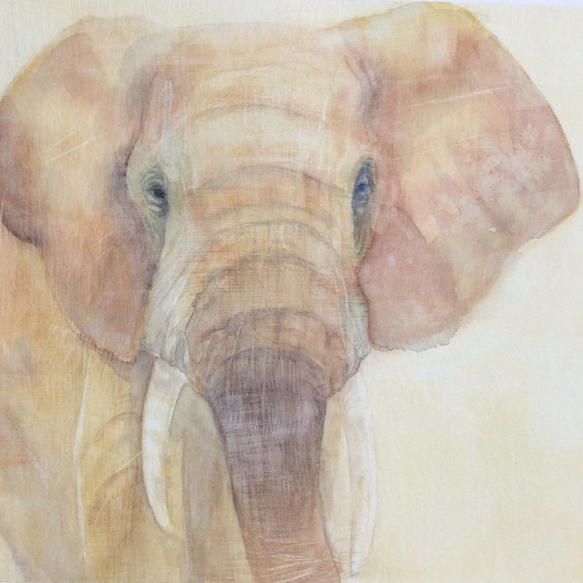 Mi proyecto para el curso: Retratos expresivos de animales en acuarela 3