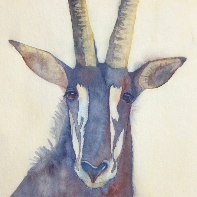 Mi proyecto para el curso: Retratos expresivos de animales en acuarela 5