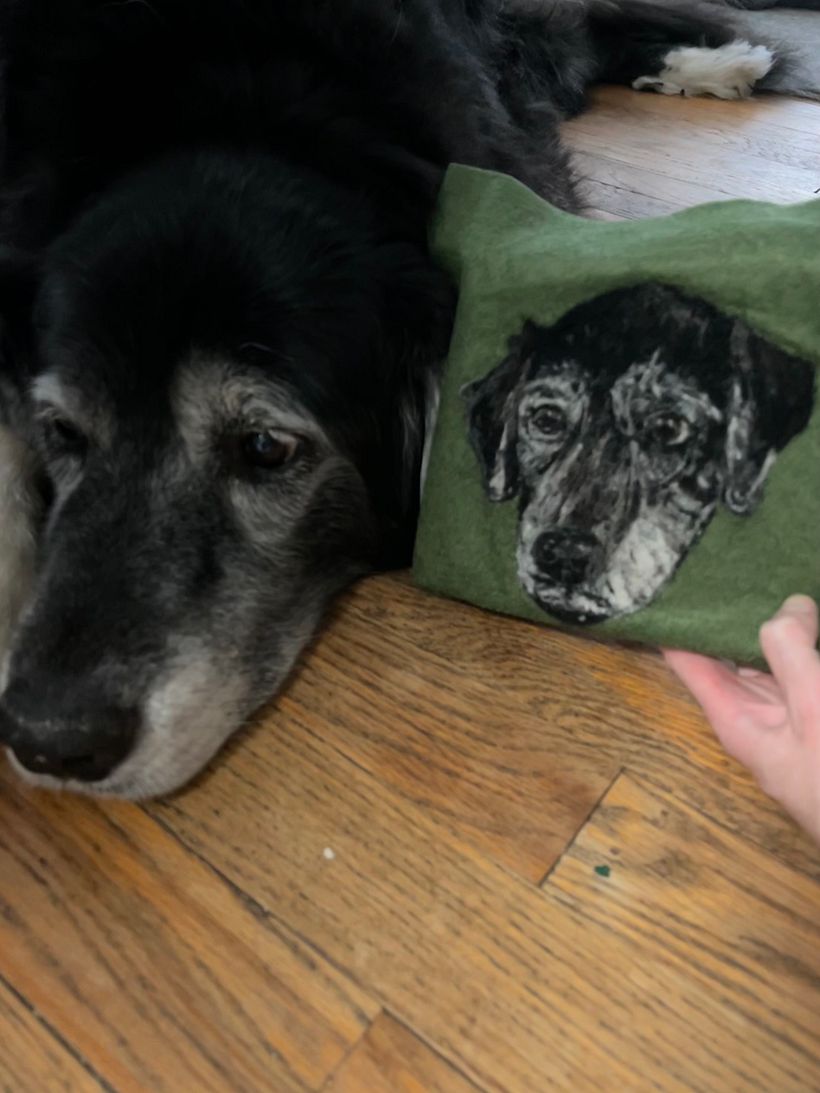 My project for course: Needle Felting: Paint Portraits with Wool 2