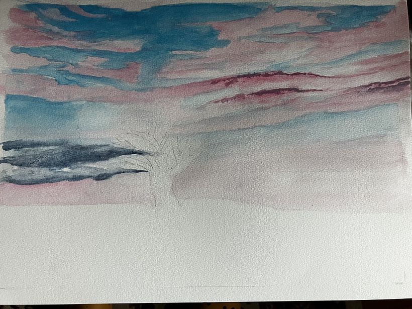 1) Sky