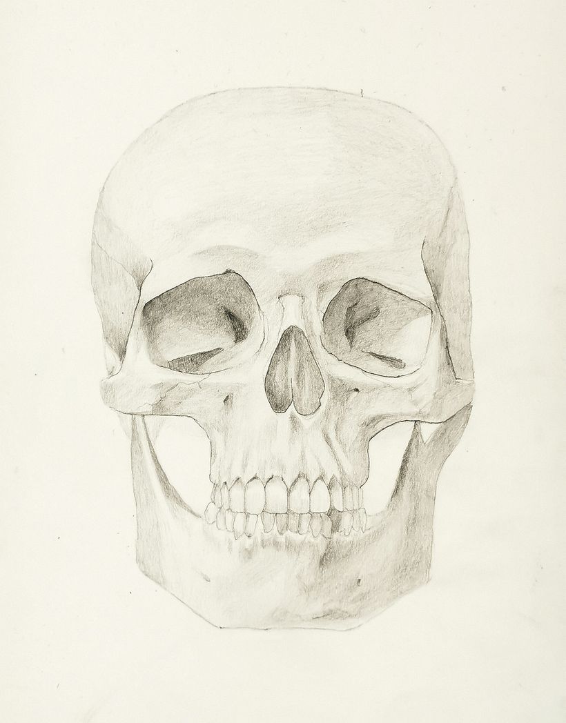 My project for course: Intro to Anatomy Drawing with Graphite Pencil 2