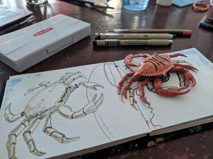 Mi proyecto del curso: Sketchbook 2023 3