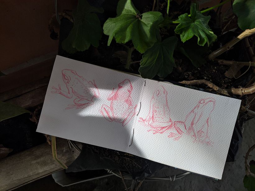 Mi proyecto del curso: Sketchbook 2023 1