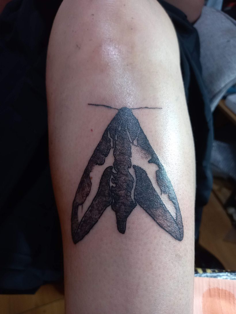 Mi Proyecto del curso: Tatuaje botánico con puntillismo 4