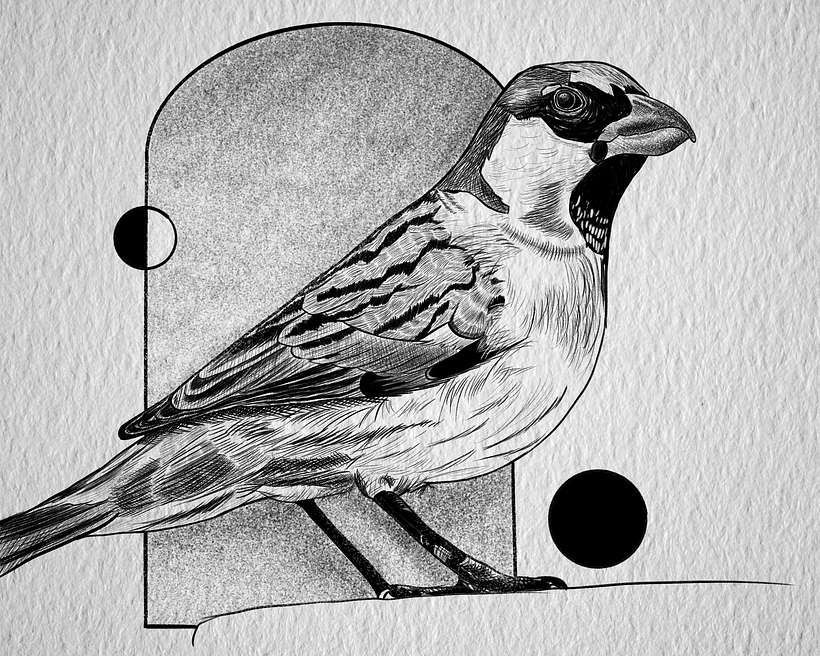 My project for course: Realistic Illustration of Birds with Imaginative Elements 2