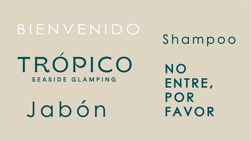 Mi proyecto del curso: Diseño de recursos gráficos para enriquecer tu marca 6