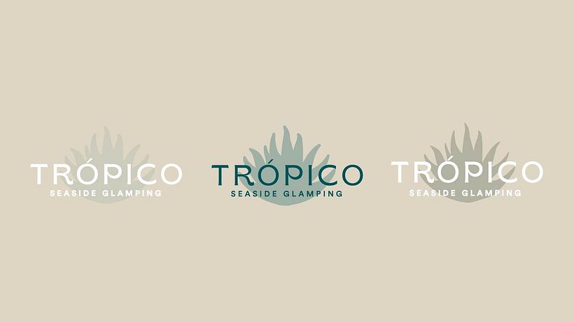 Mi proyecto del curso: Diseño de recursos gráficos para enriquecer tu marca 8