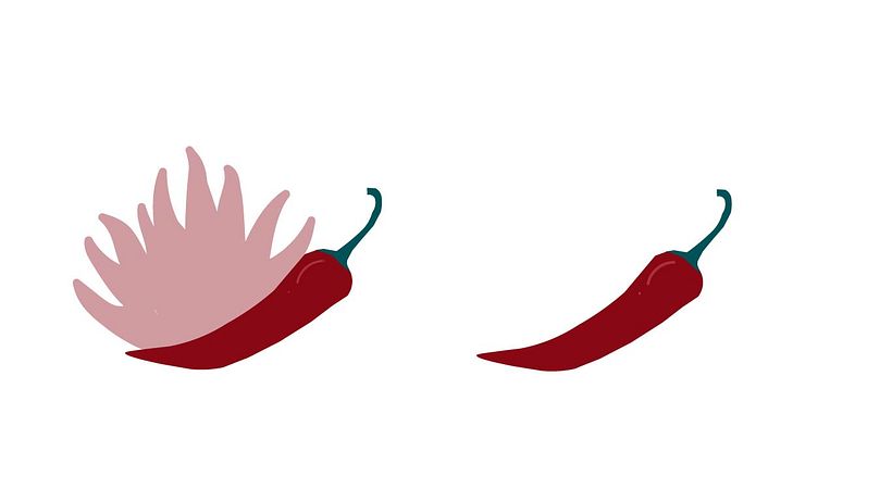 Mi proyecto del curso: Diseño de recursos gráficos para enriquecer tu marca 17
