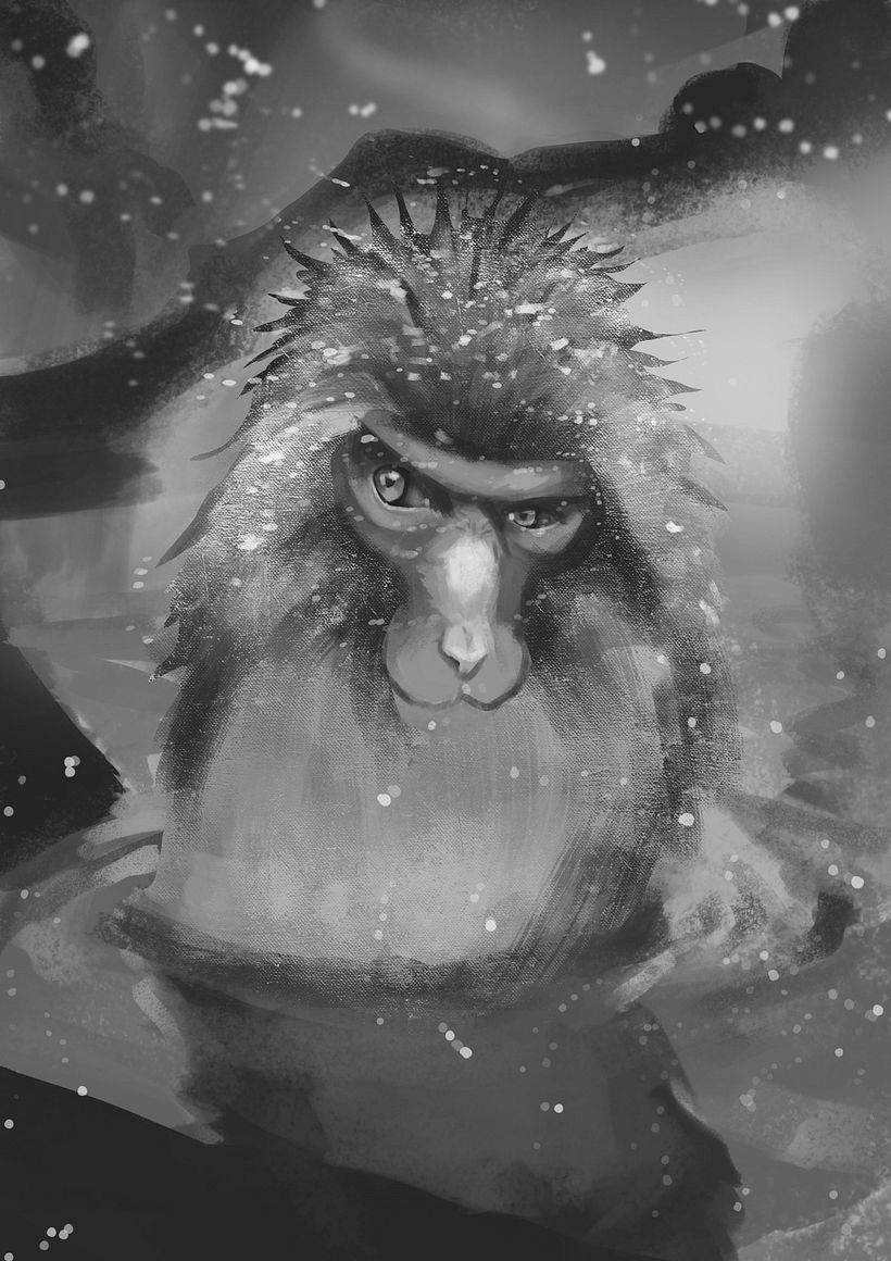 Macaco de les neus 2