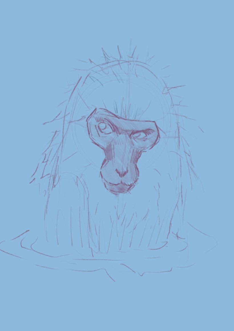 Macaco de les neus 3