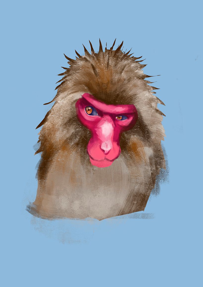 Macaco de les neus 4