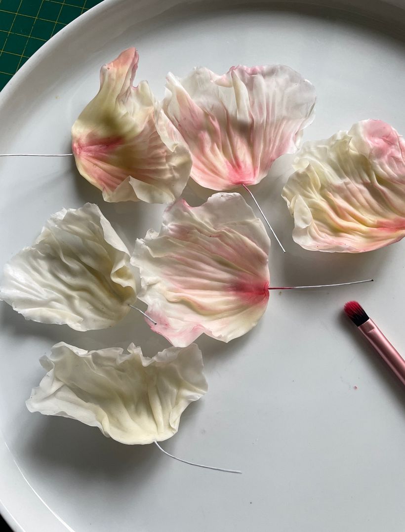 Icelandic Poppy Petal 