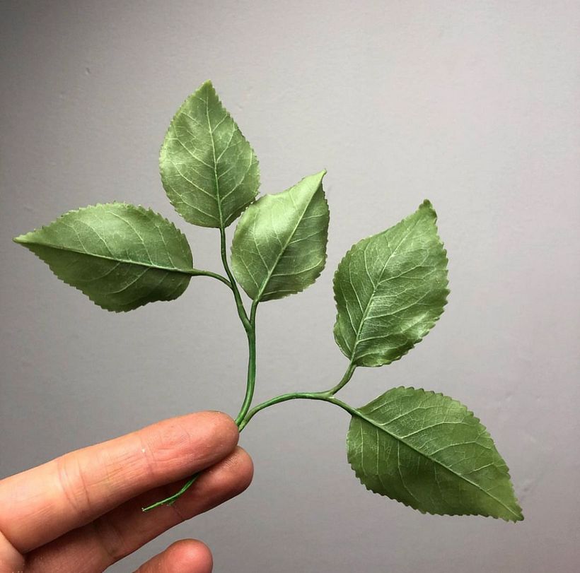 Rose Leaf, Back  'Flat Brush' Style Toning ( It's ok to use your finger... I did) 