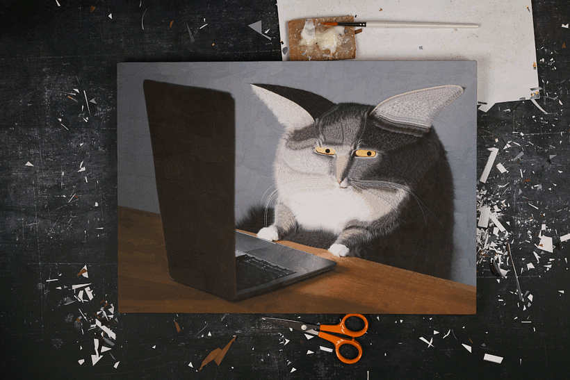 Gatos 2023 10