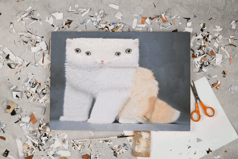 Gatos 2023 12