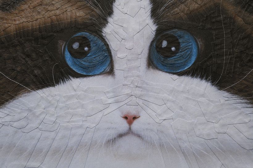 Gatos 2023 14