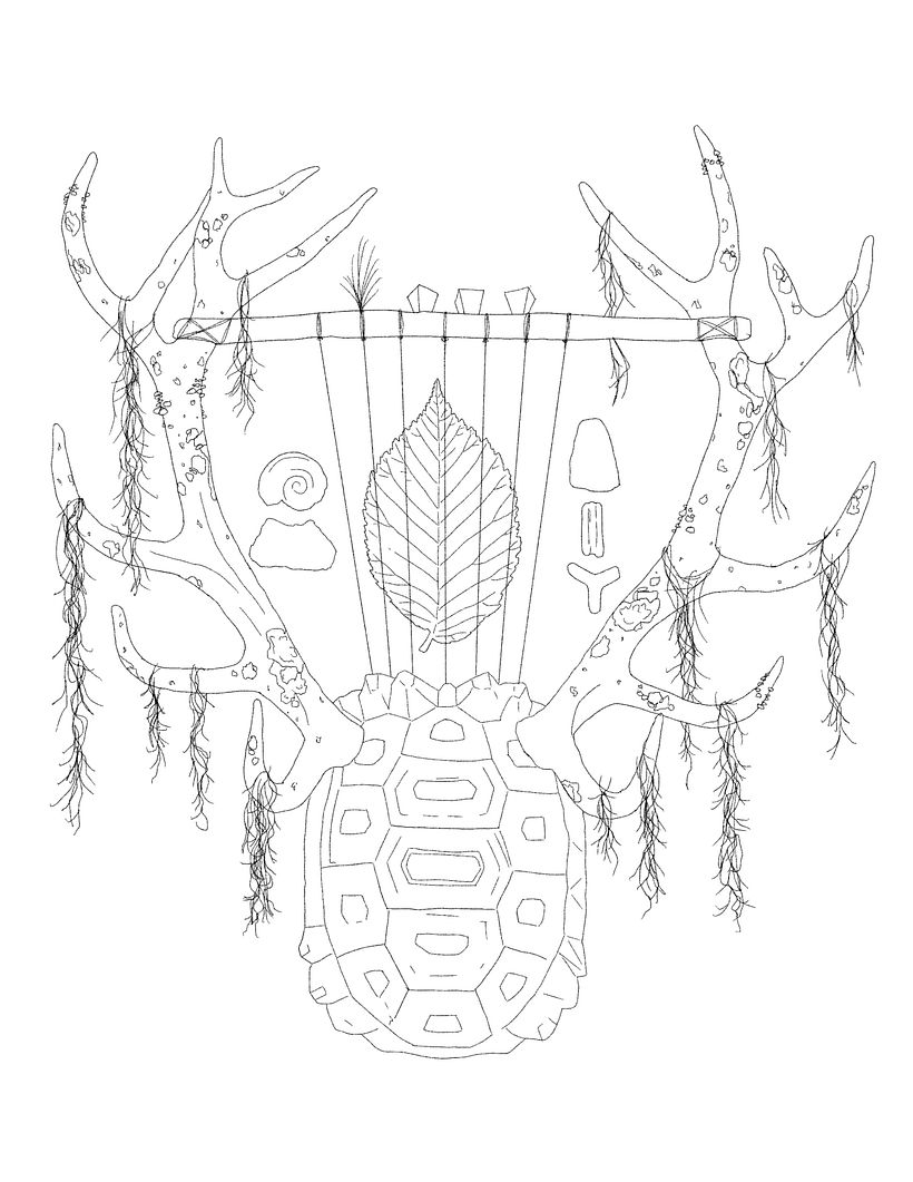 Digital sketch