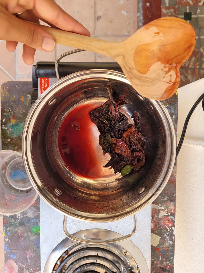 My project for course: Creating Liquid Watercolors and Botanical Inks - Handwerk