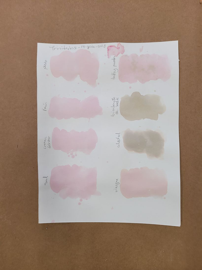 My project for course: Creating Liquid Watercolors and Botanical Inks - Handwerk