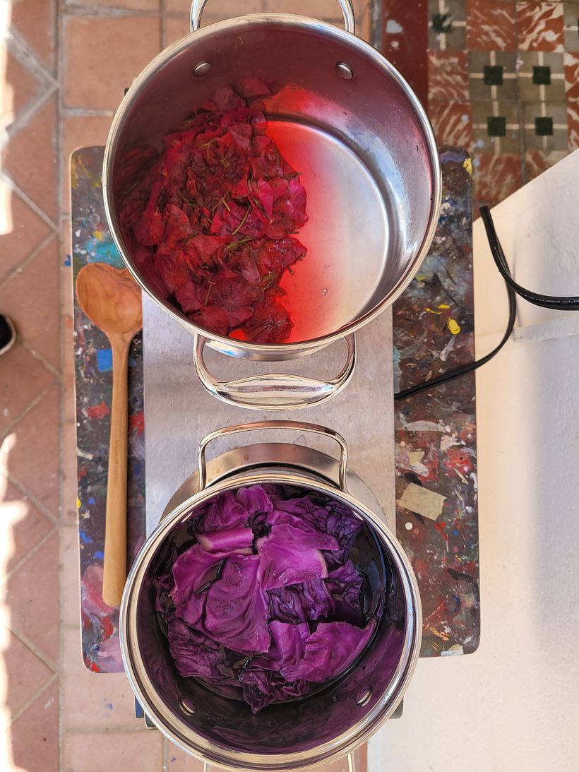 My project for course: Creating Liquid Watercolors and Botanical Inks - Handwerk