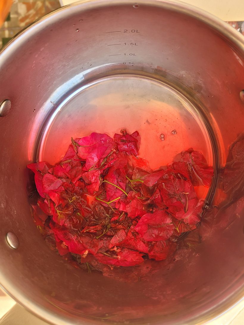 My project for course: Creating Liquid Watercolors and Botanical Inks - Handwerk