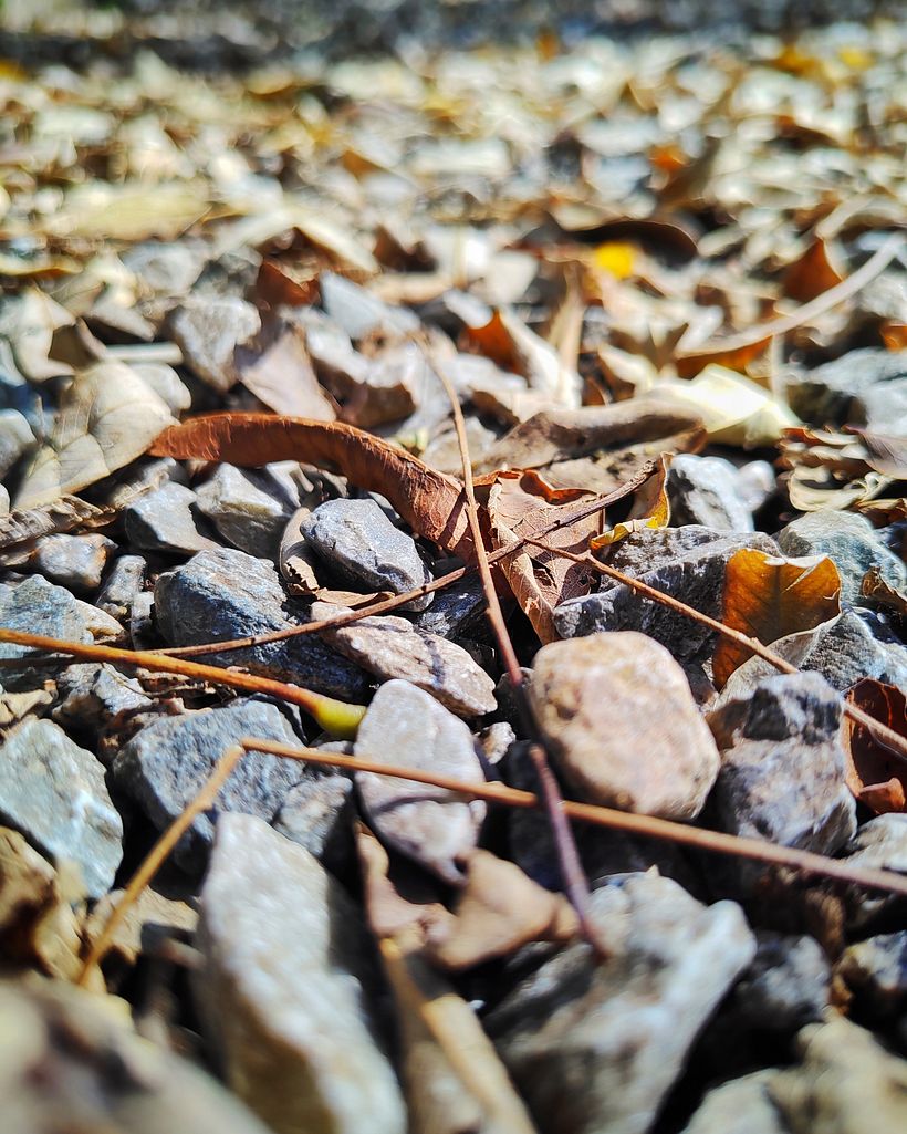 Detalhes