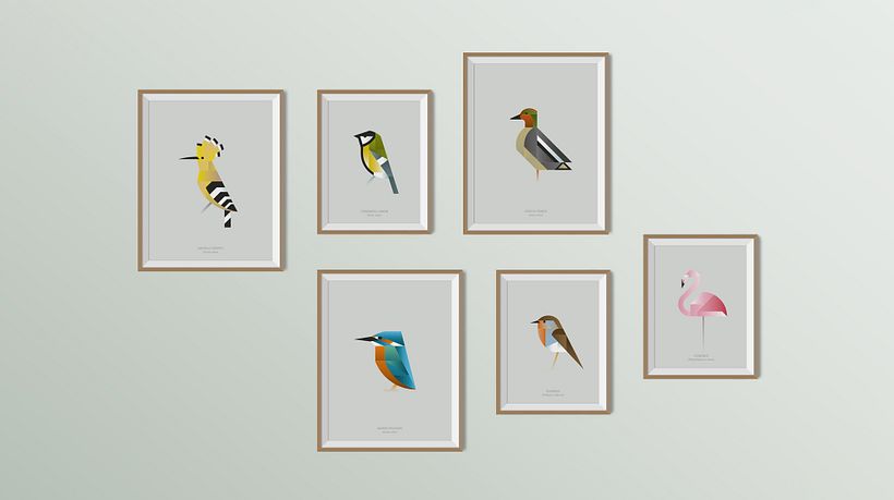 Campaña de comunicación para Parque Natural de L’Albufera 8