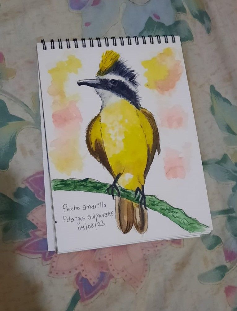 Mi proyecto del curso: Acuarela artística para ilustración de aves 2