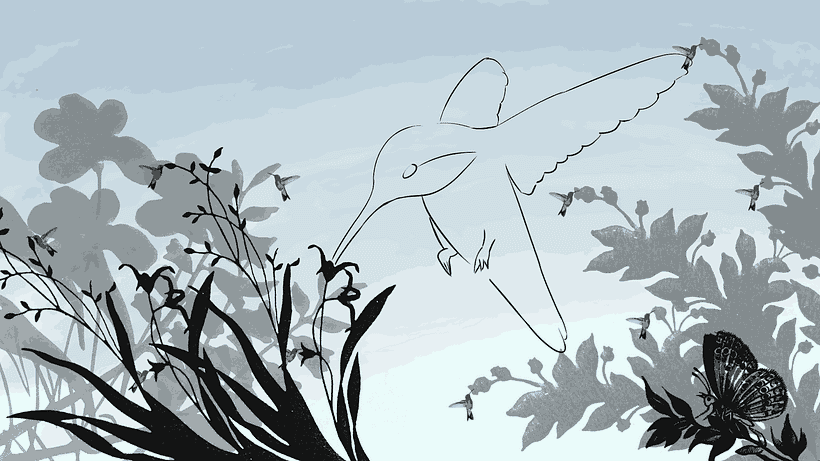 Portafolio 3
