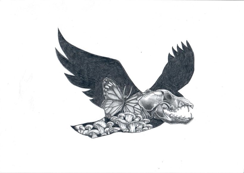 My project for course: Artistic Naturalistic Drawing with Pencil 1