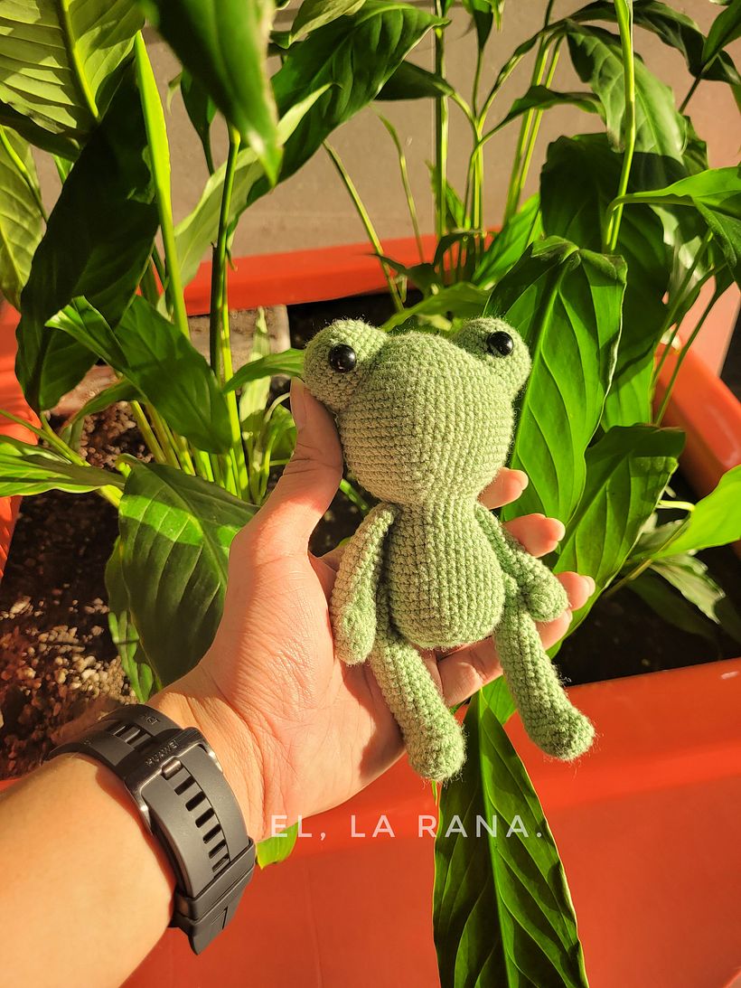 Mi proyecto del curso: Amigurumis de animales con crochet 2