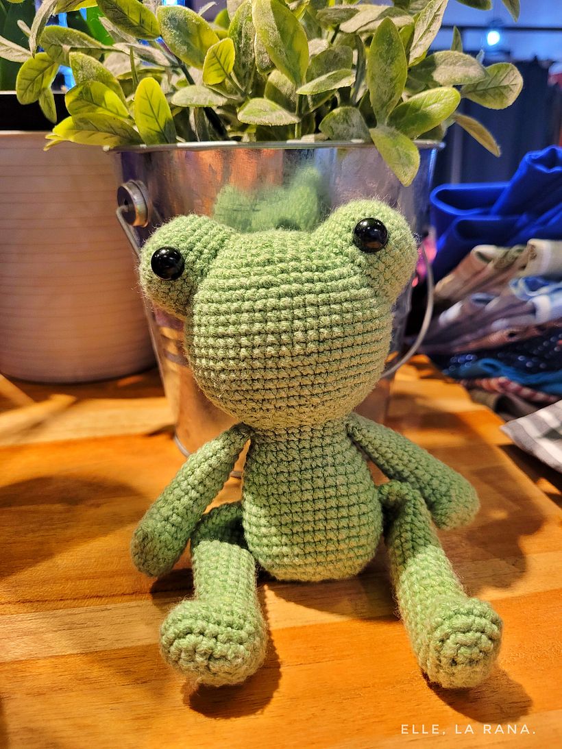Mi proyecto del curso: Amigurumis de animales con crochet 3
