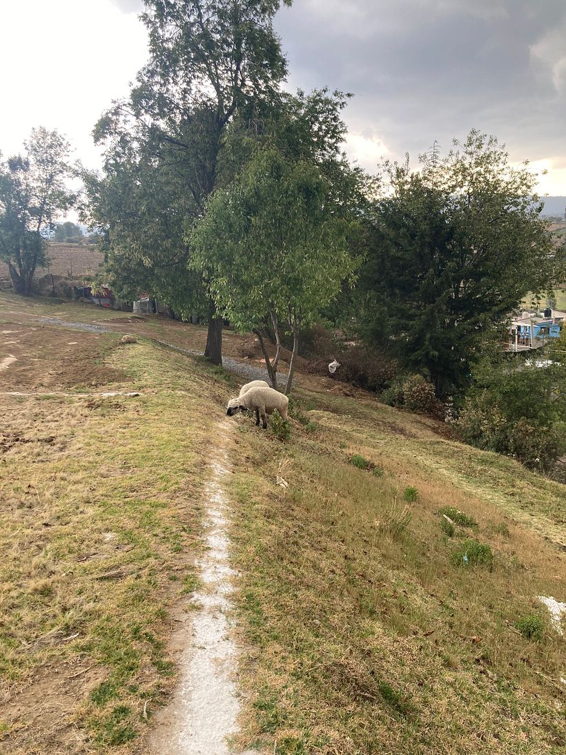 Casa en la montaña 3