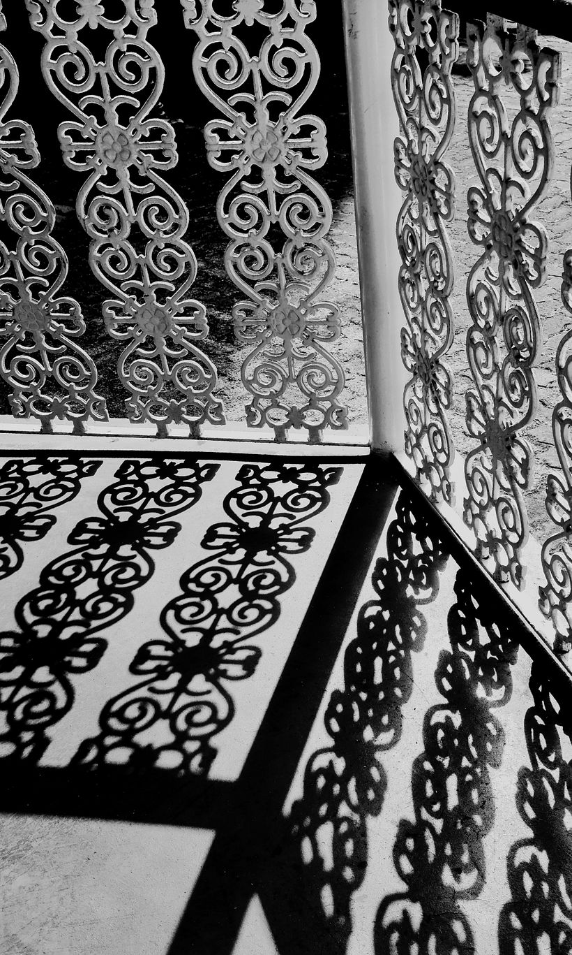 Meu projeto do curso: Fotografia profissional para Instagram 9