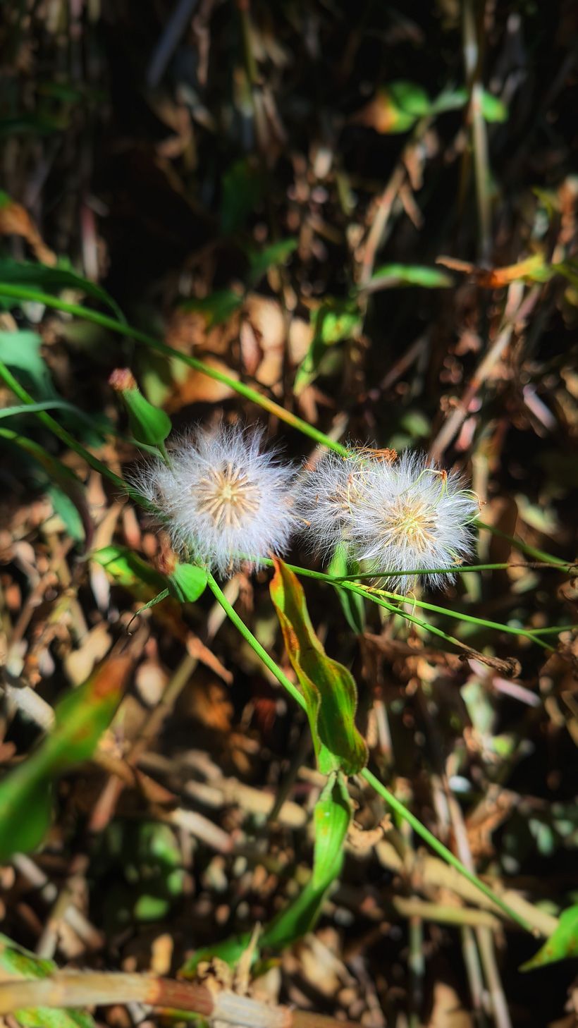 Meu projeto do curso: Fotografia profissional para Instagram 7