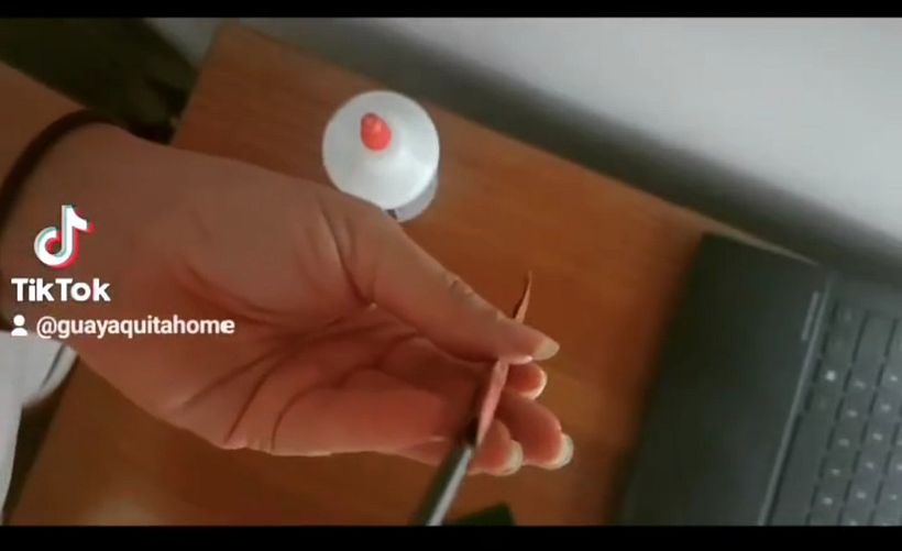 Mi proyecto del curso: Diseño y encuadernación de sketchbooks 11